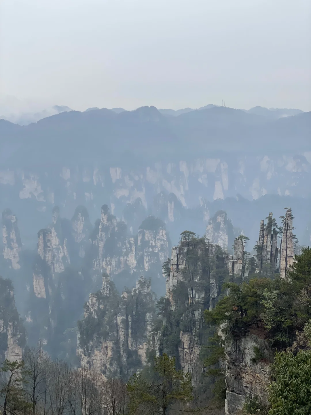 张家界3天2夜｜不想做攻略直接复制：）