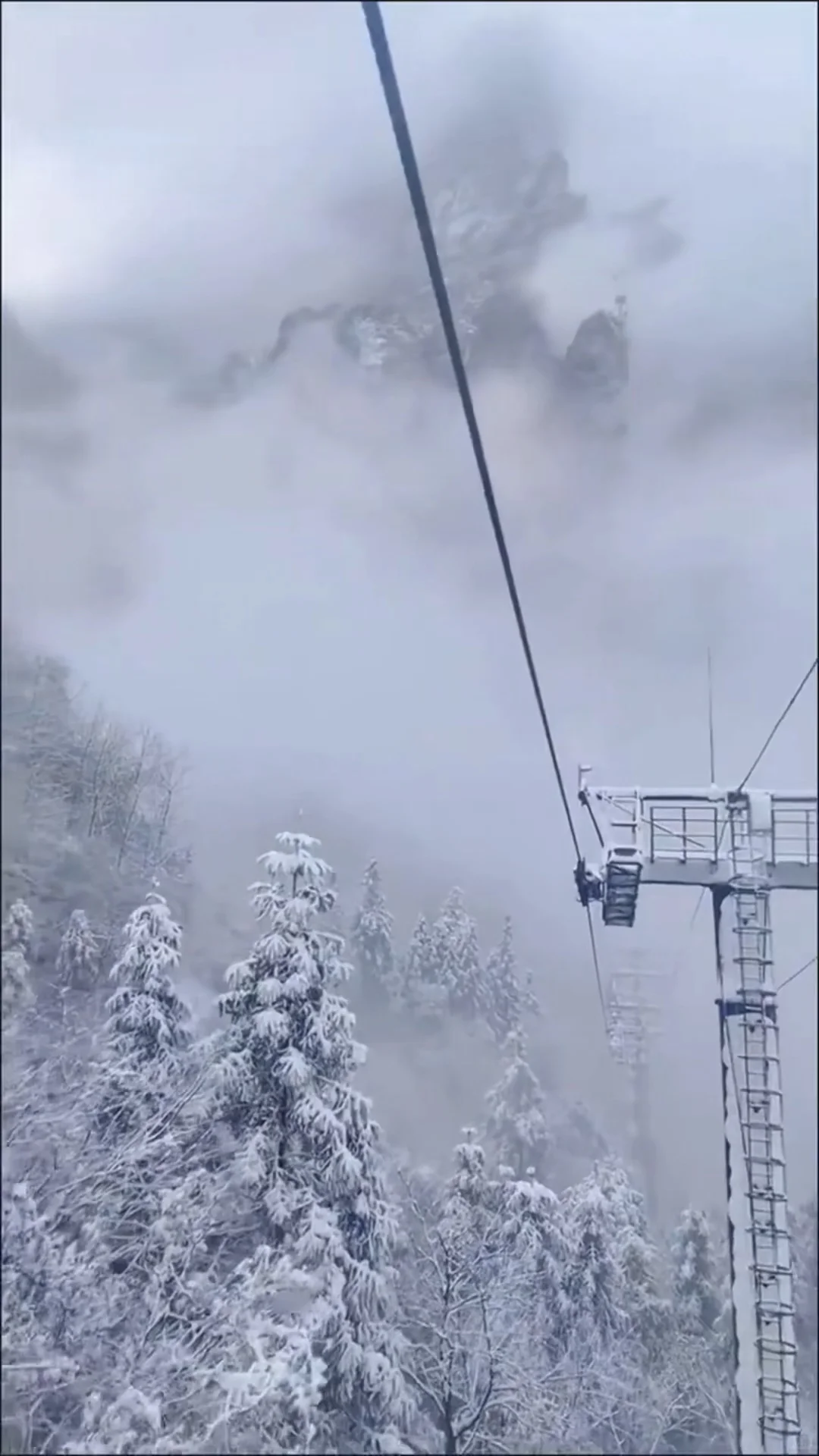 人生建议：冬天一定要去张家界看雪❄️