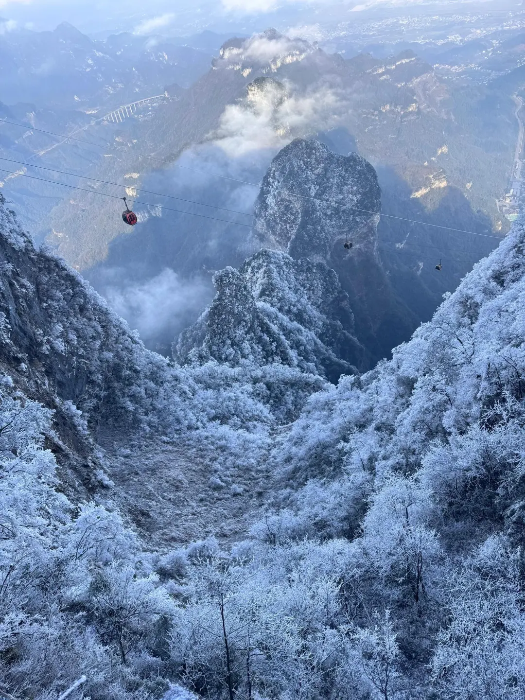 准备飞中国的注意啦‼️