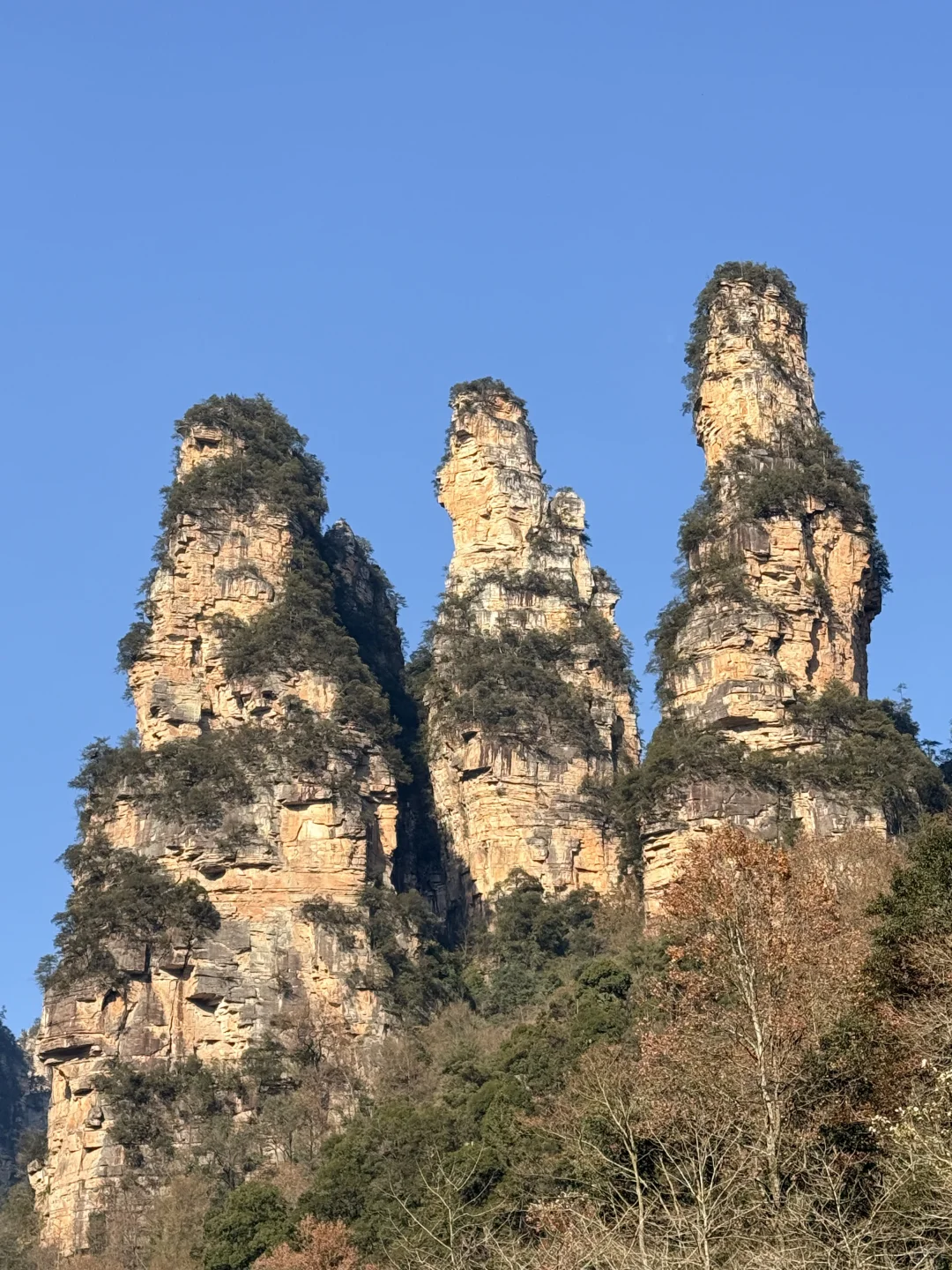 淡季张家界人少，无坑