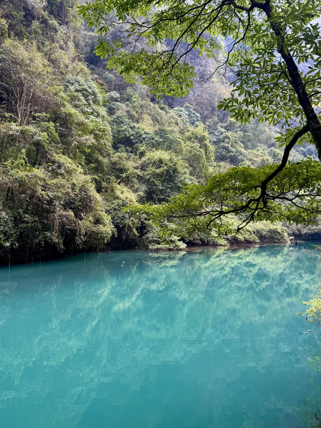 张家界大峡谷有点东西