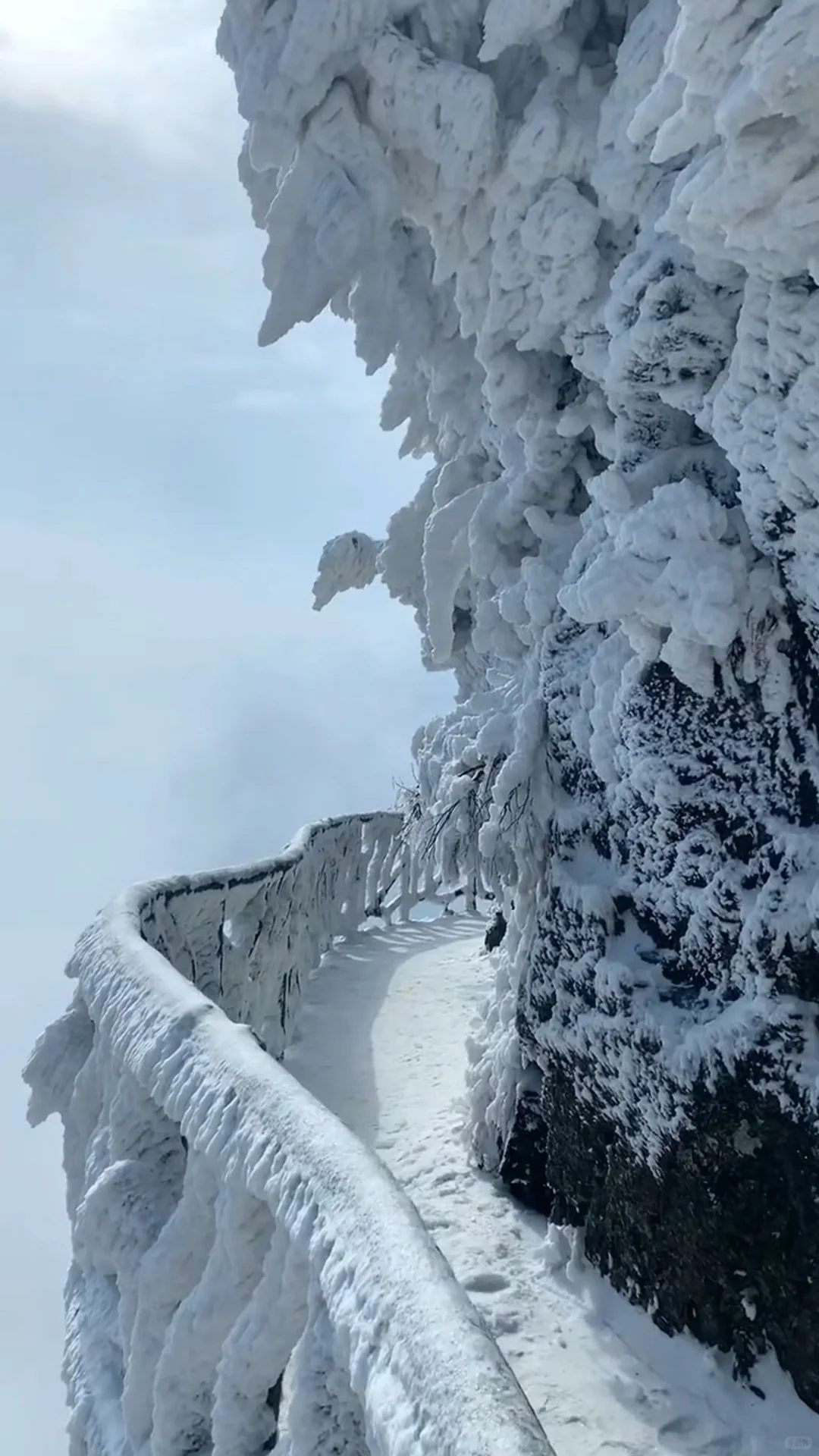 人生建议：冬天一定要去张家界看雪❄️