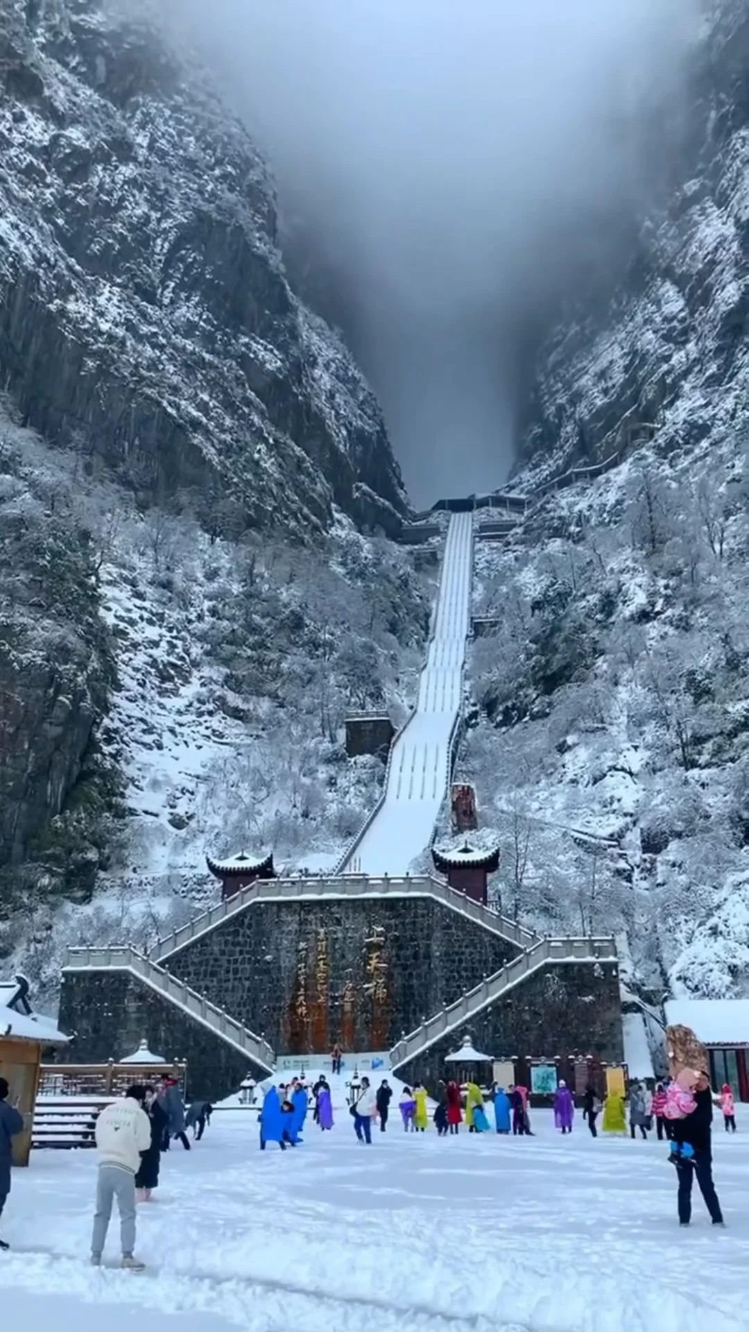 人生建议：冬天一定要去张家界看雪❄️