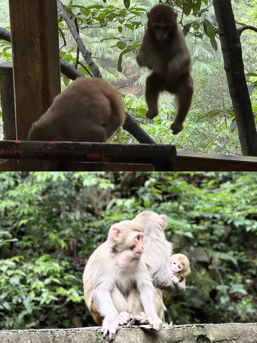 去张家界真的千万不要乱穿衣服 崩溃了…