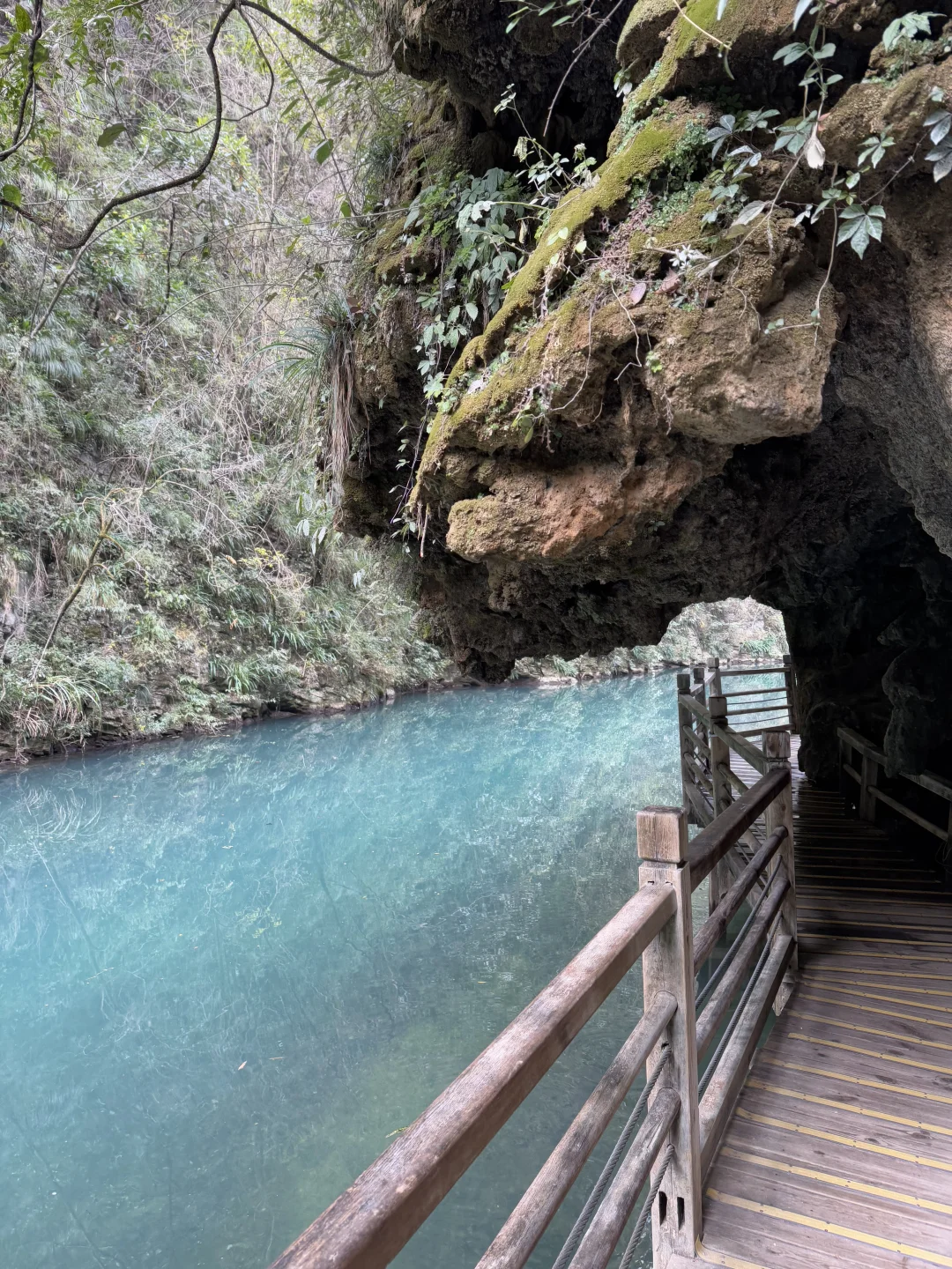 张家界大峡谷有点东西