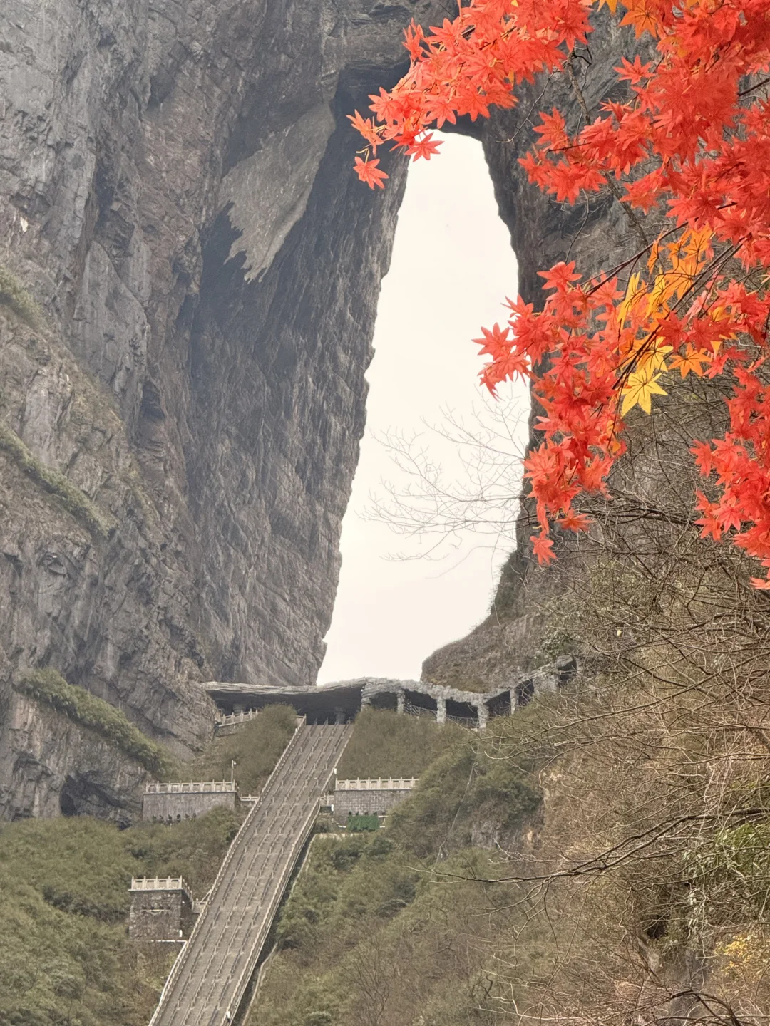 淡季张家界人少，无坑