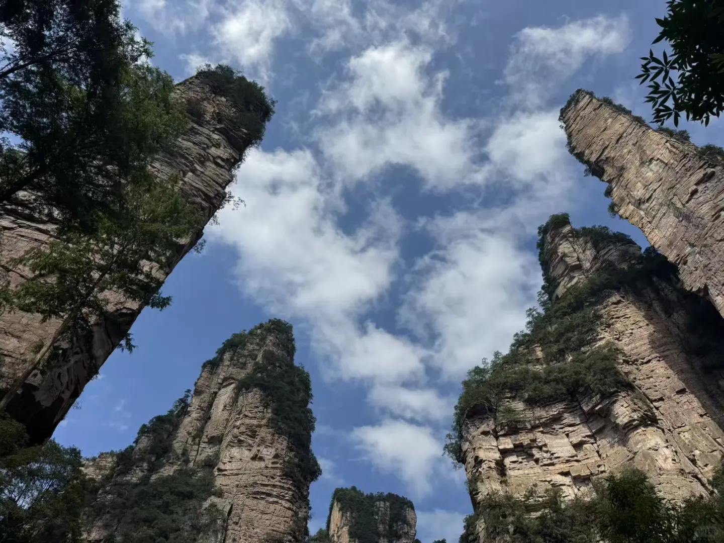 张家界游玩体验