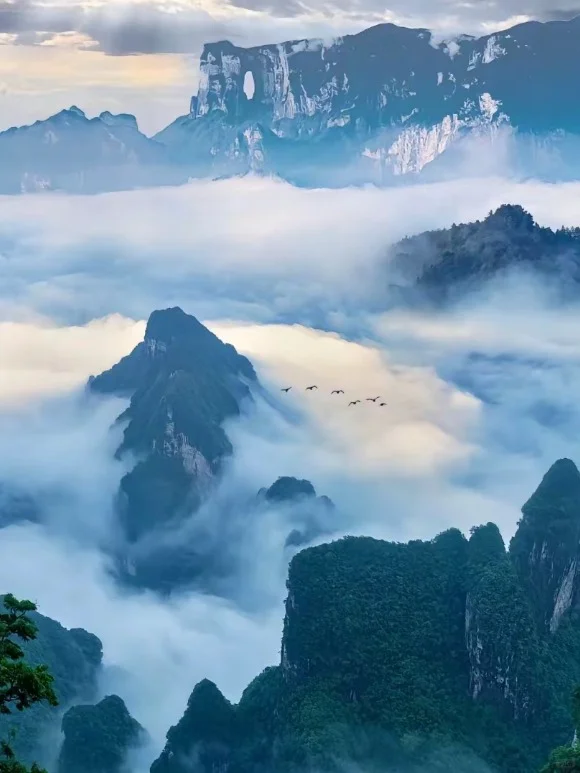 张家界旅游现状哭晕！一去一个不吱声