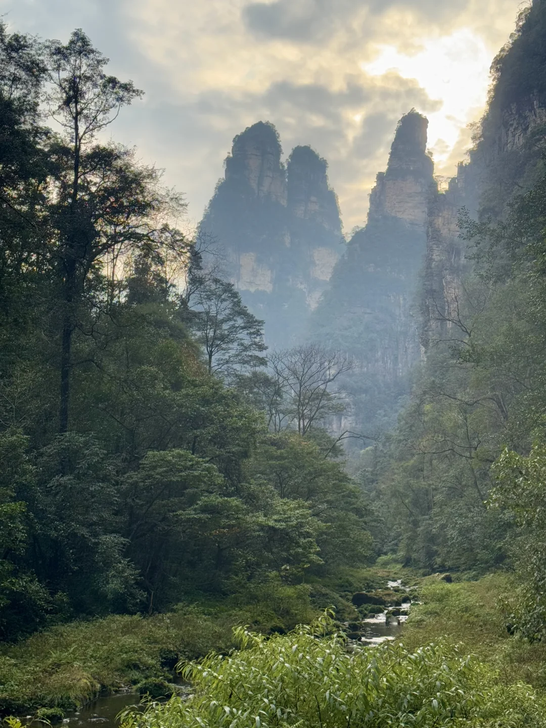 张家界，太美了！附精华攻略📖