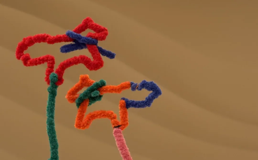 长沙爱马仕焕新启幕