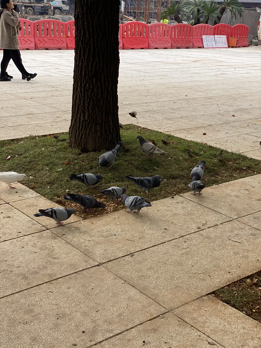 长沙三天两晚旅游攻略（懒人版）