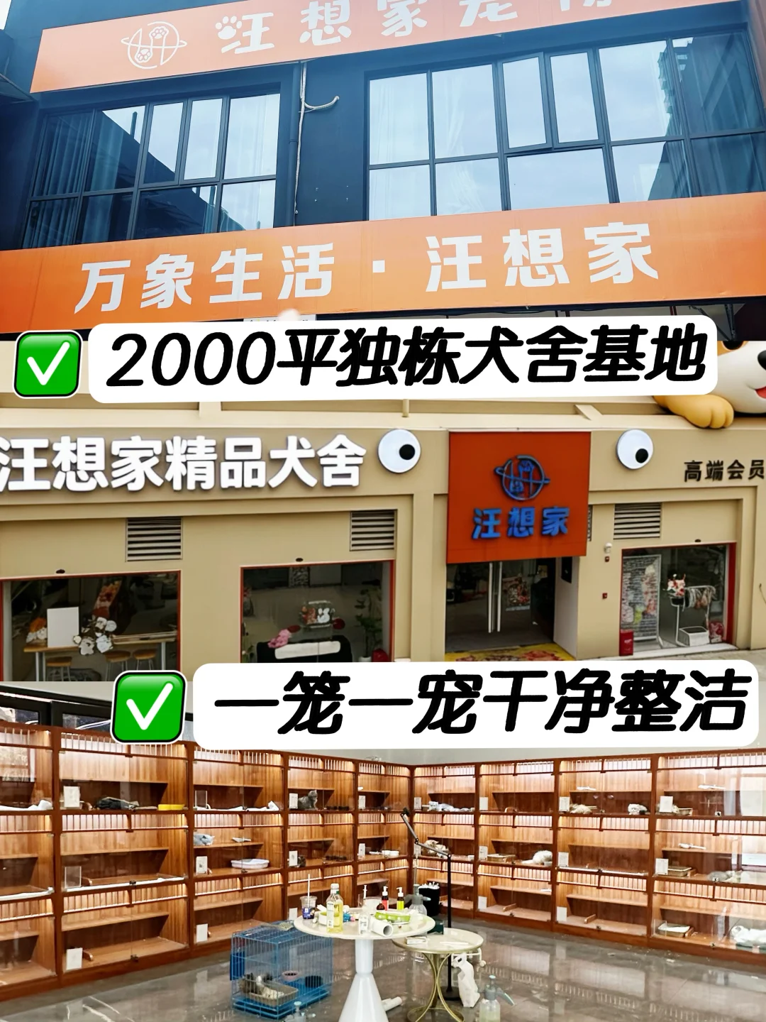 长沙2000平犬舍 | 100多种狗狗任选