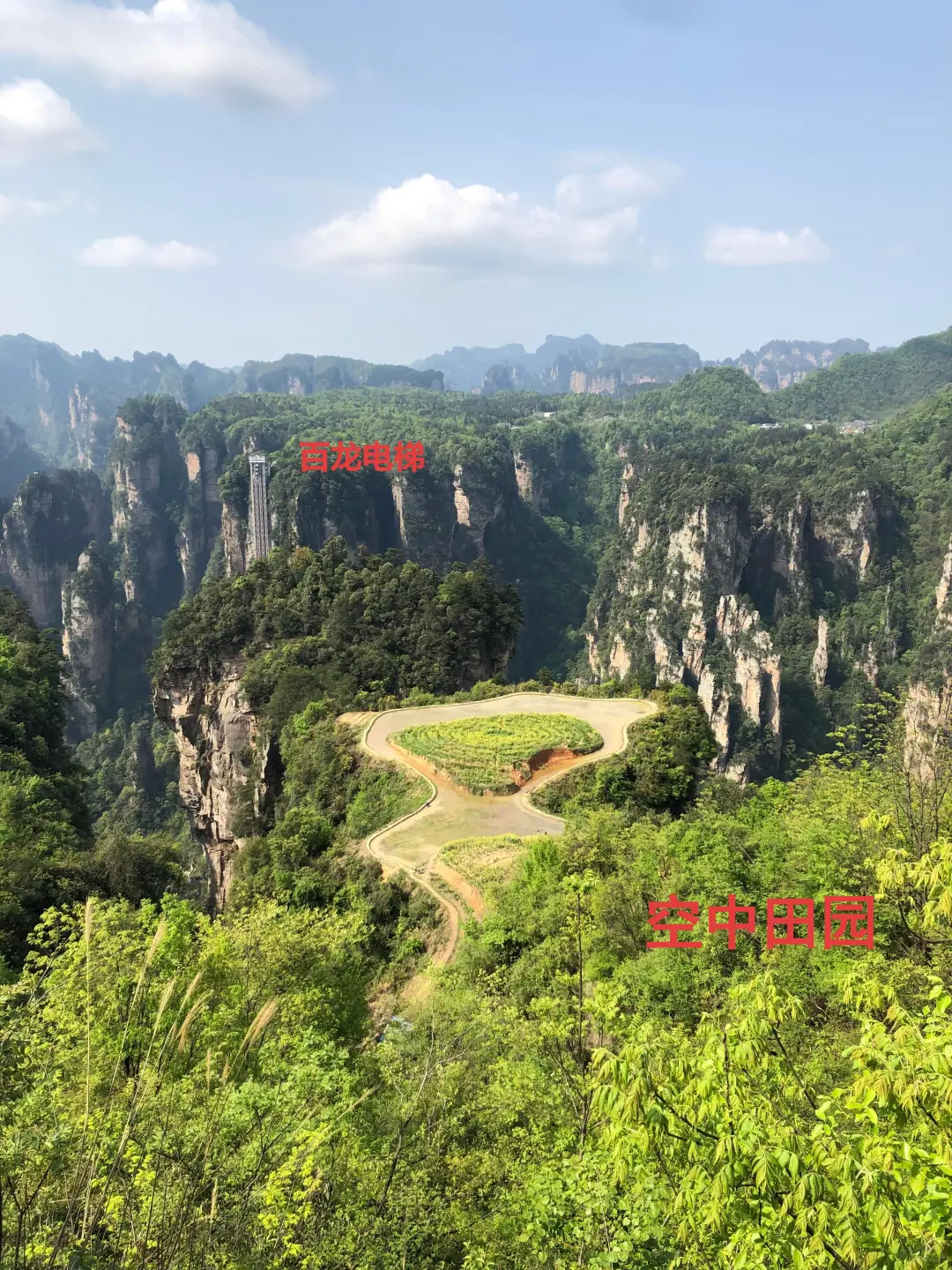 一张大门票，直接坐车到山顶