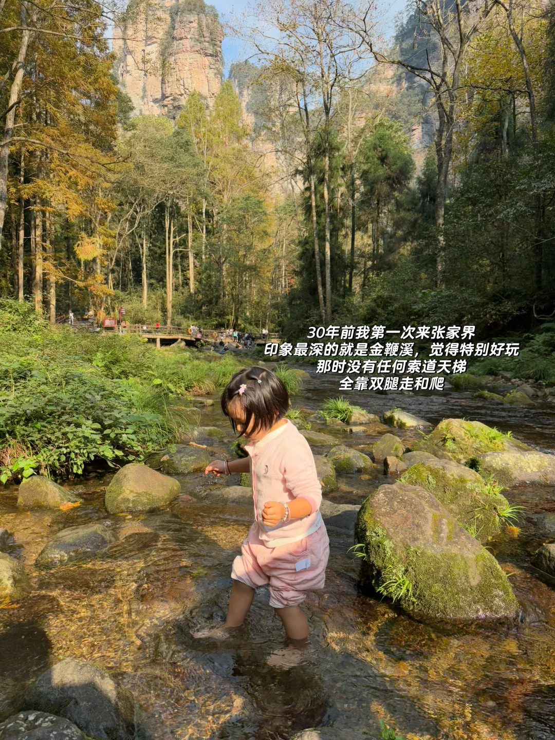 重庆出发周末2日游｜带娃徒步国家森林公园