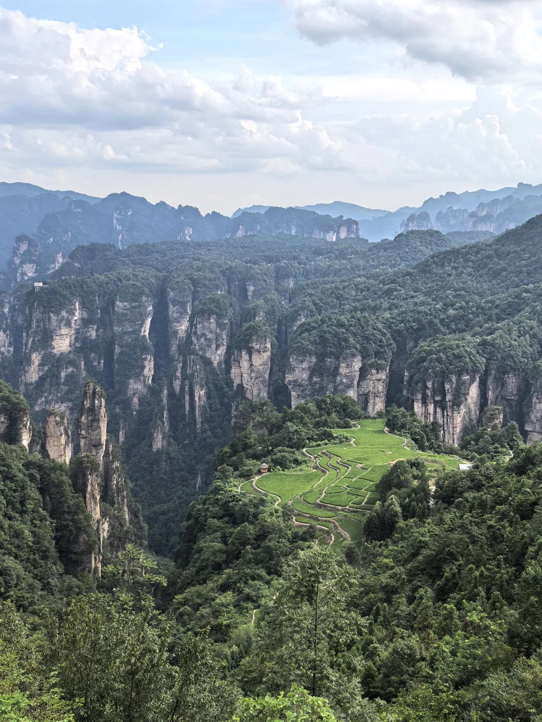 张家界暴雨后,我被自然深深“看见”