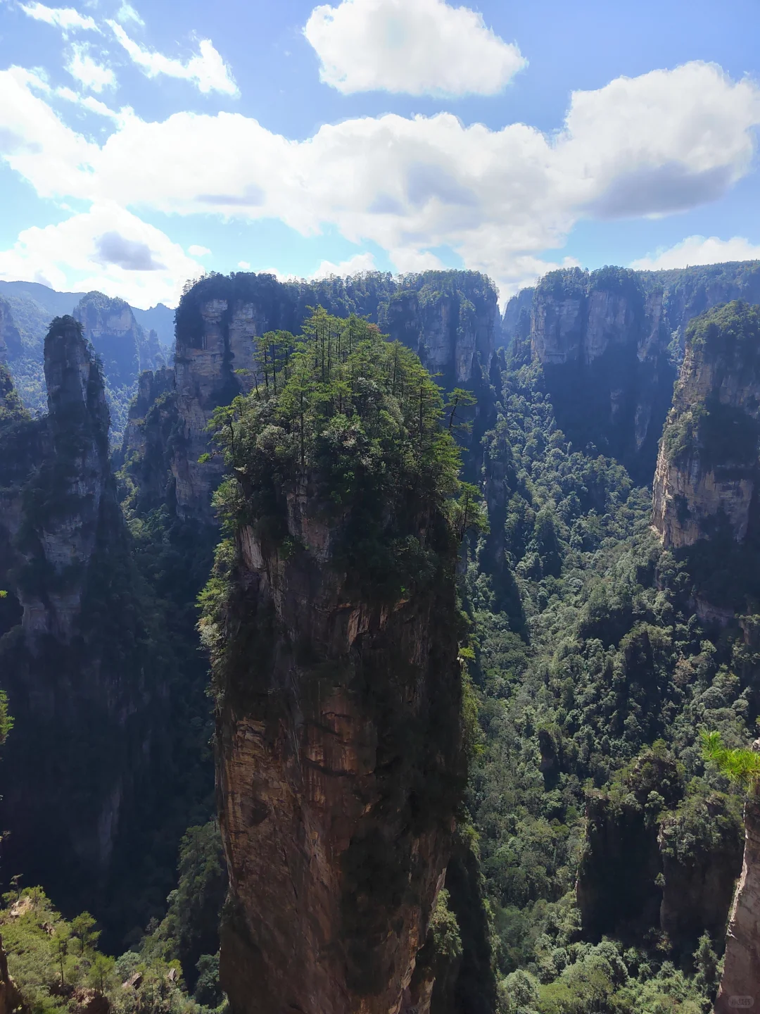 张家界武陵源森林公园两日游之day1