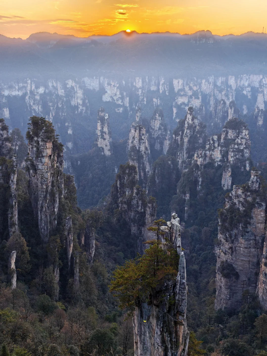 J人P游张家界被宠坏的3天