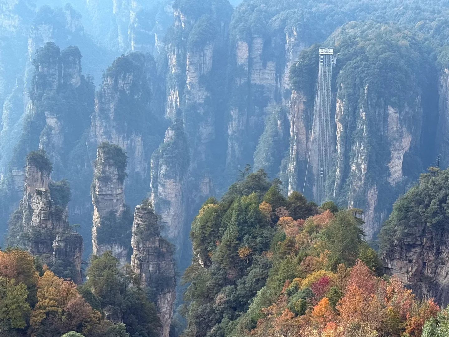 11月18日张家界雾凇