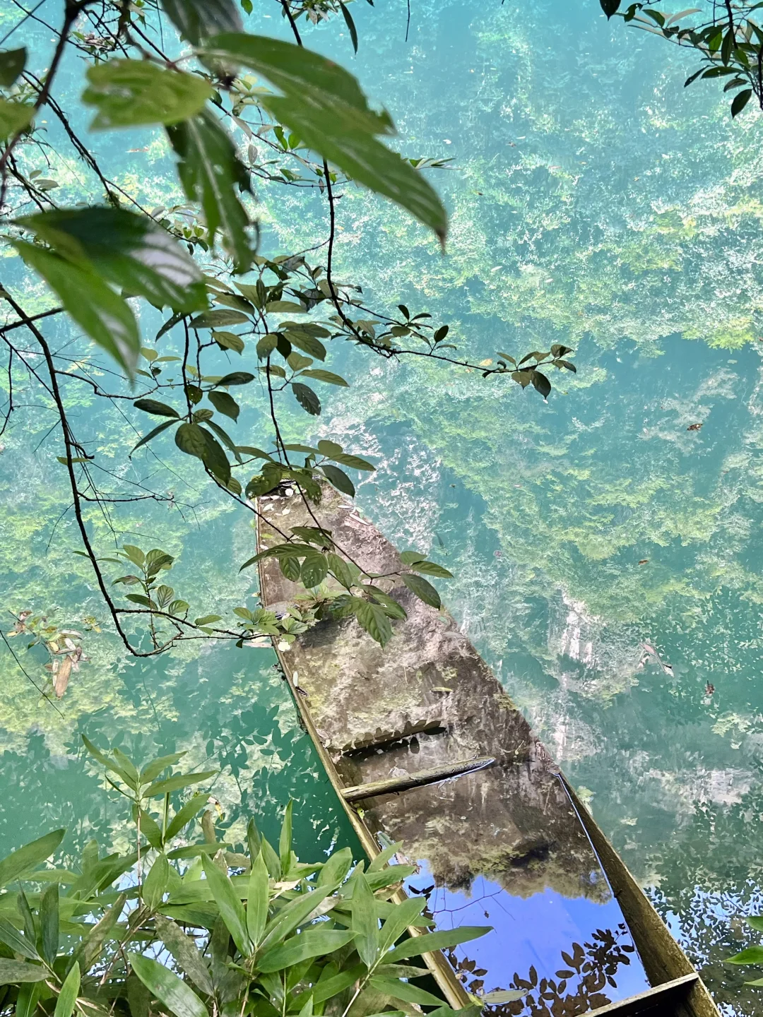 别再问张家界大峡谷值不值得去了！