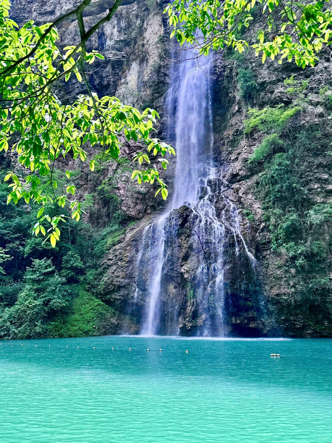 张家界｜大峡谷B线旅游攻略