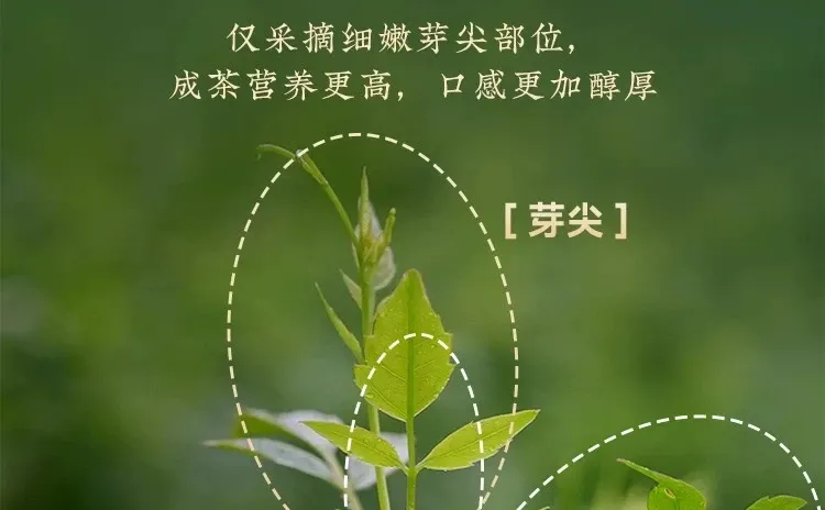 张家界4000找中控了！