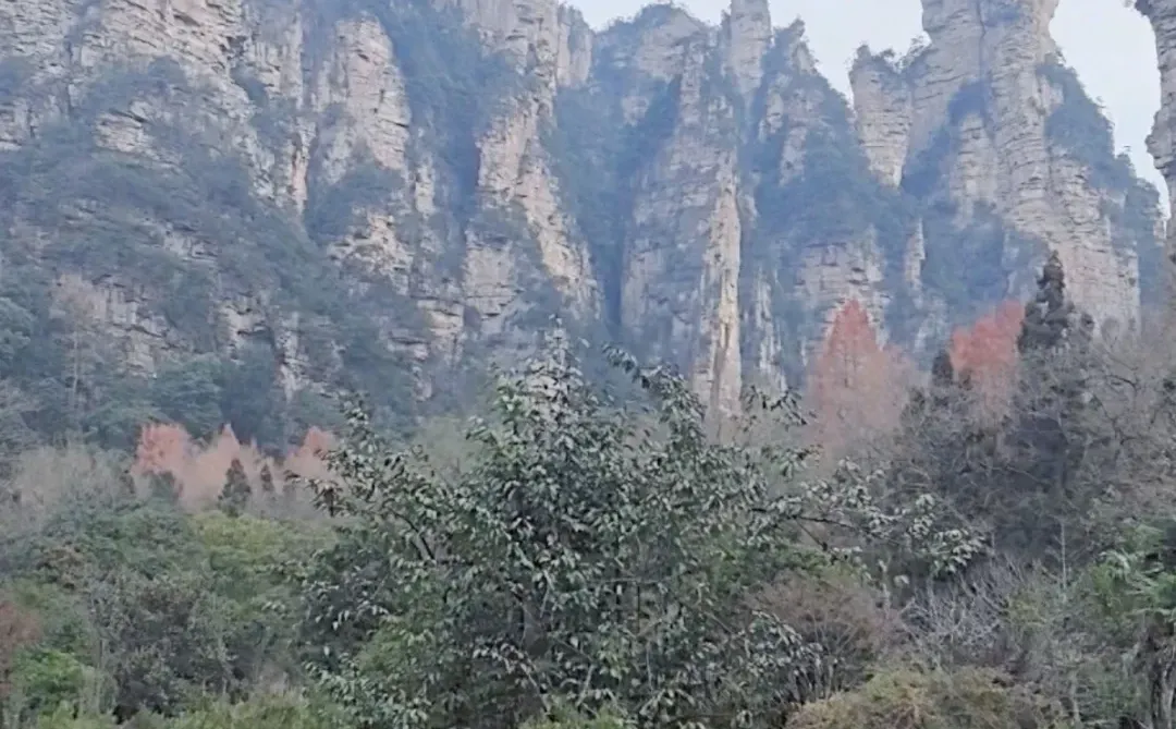 张家界天气实况🌤天门山12月16日·上午·晴