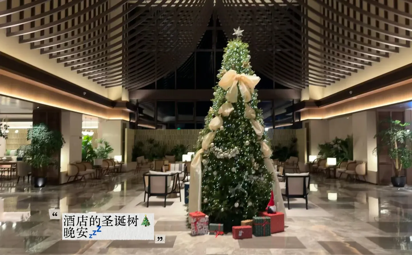 12.13｜张家界🚡看到雾淞版