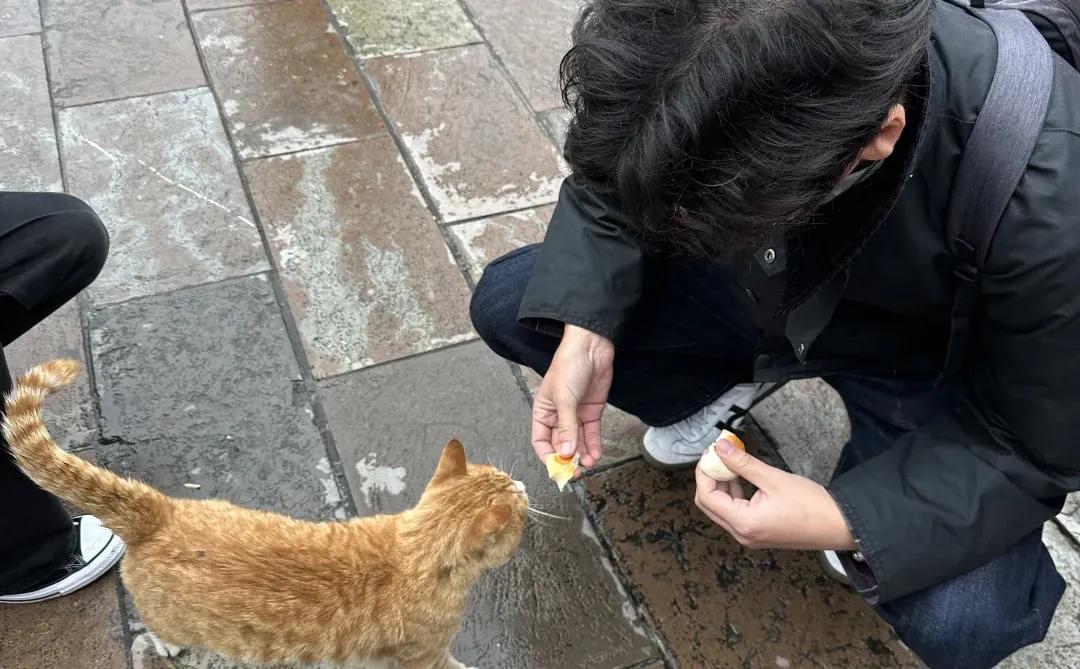 张家界的咪给老外魂都勾走