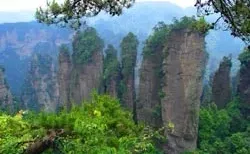 张家界带爸妈2日游全攻略｜4500字血泪总结✨