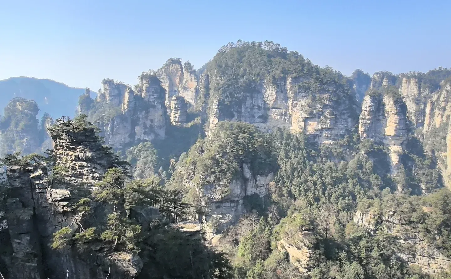 为什么张家界的西方游客比九寨沟多？