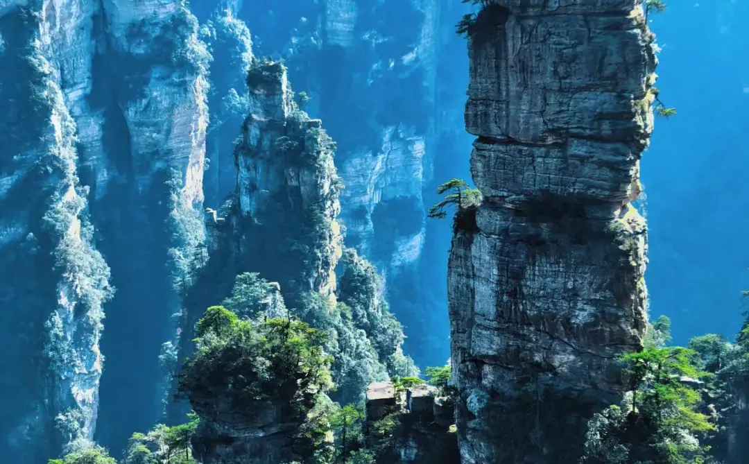 张家界森林公园南门-只看这一篇就够了