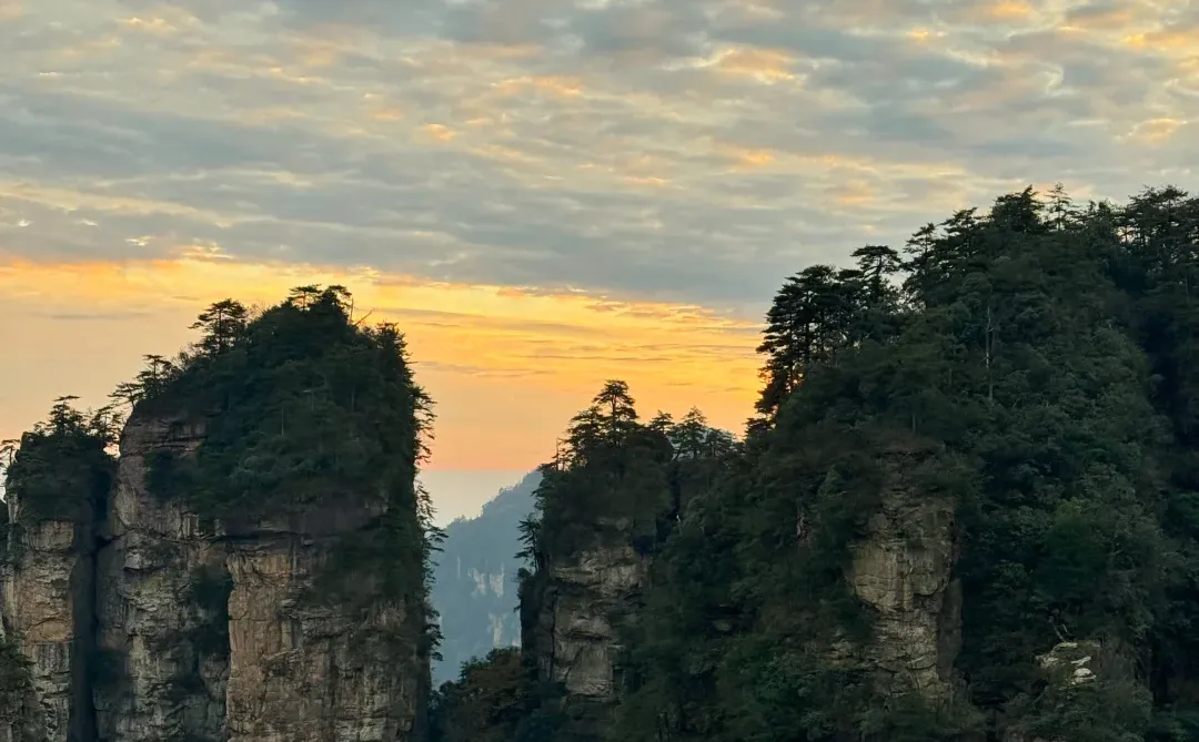 11月18日张家界雾凇