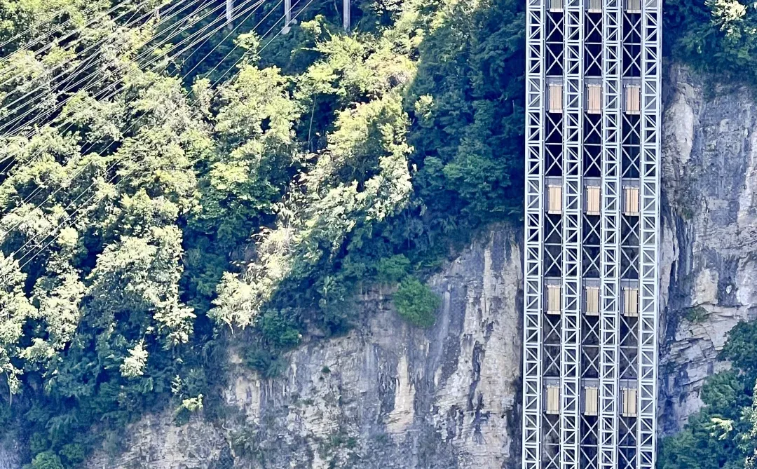 别再问张家界大峡谷值不值得去了！