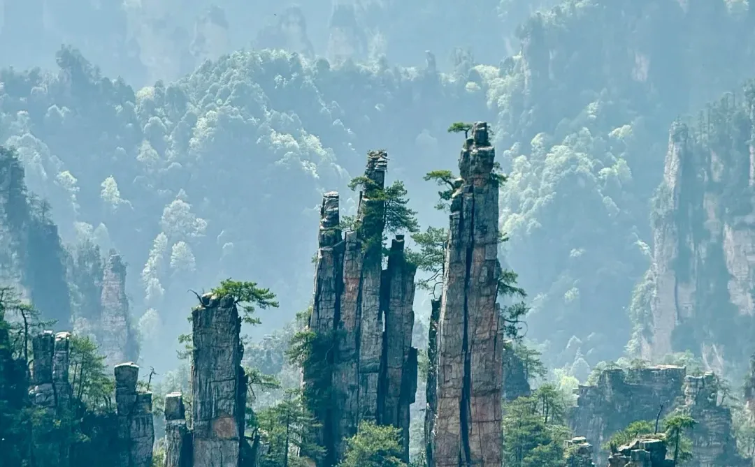 去张家界跟这种车的团，太舒适啦！