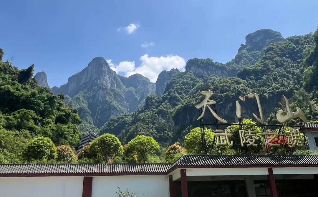 📍张家界｜天门山半日游路线⛰️省力又出片！