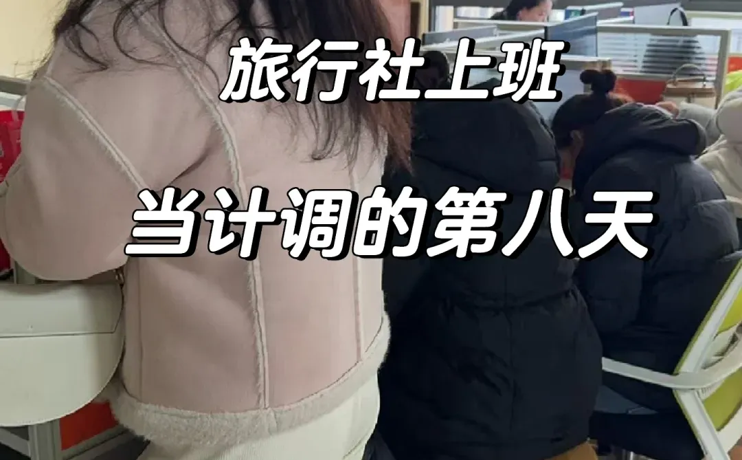 张家界📍旅行社当计调的第八天（挺好笑）