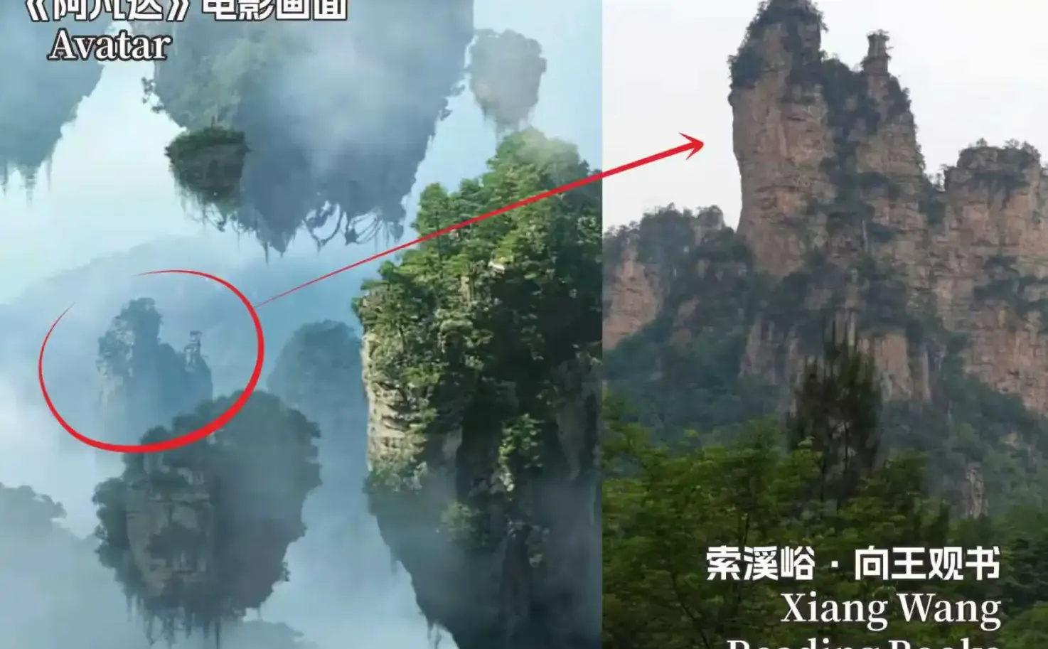 《阿凡达3》上映之际，张家界致信卡梅隆