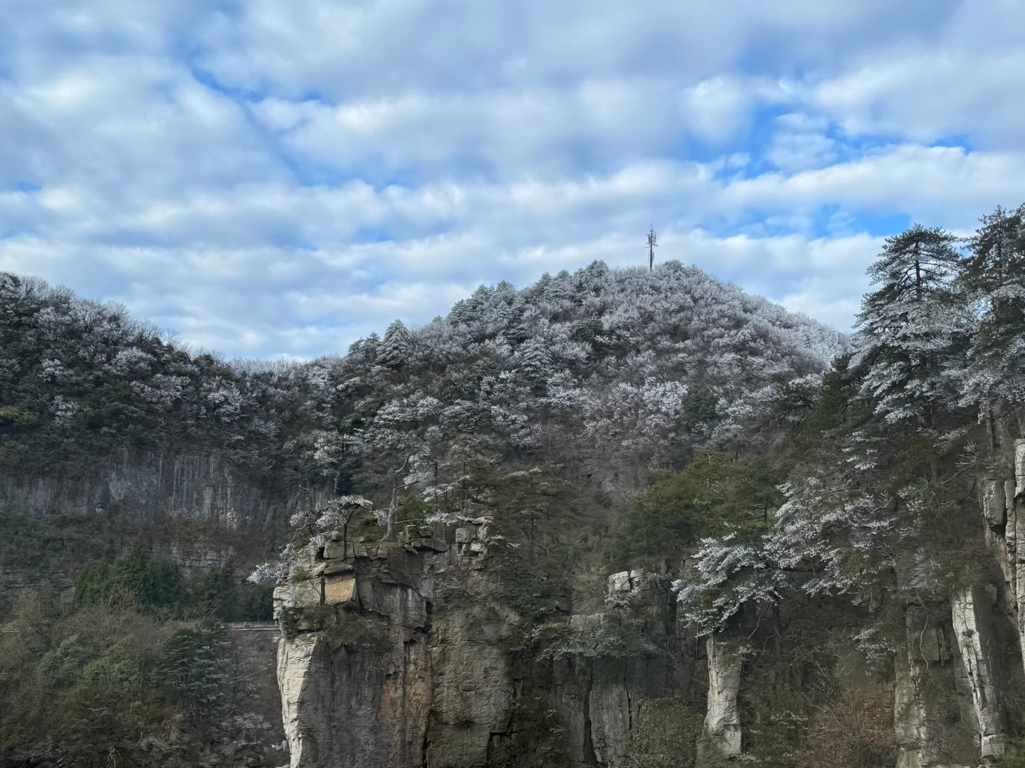 11月18日张家界雾凇