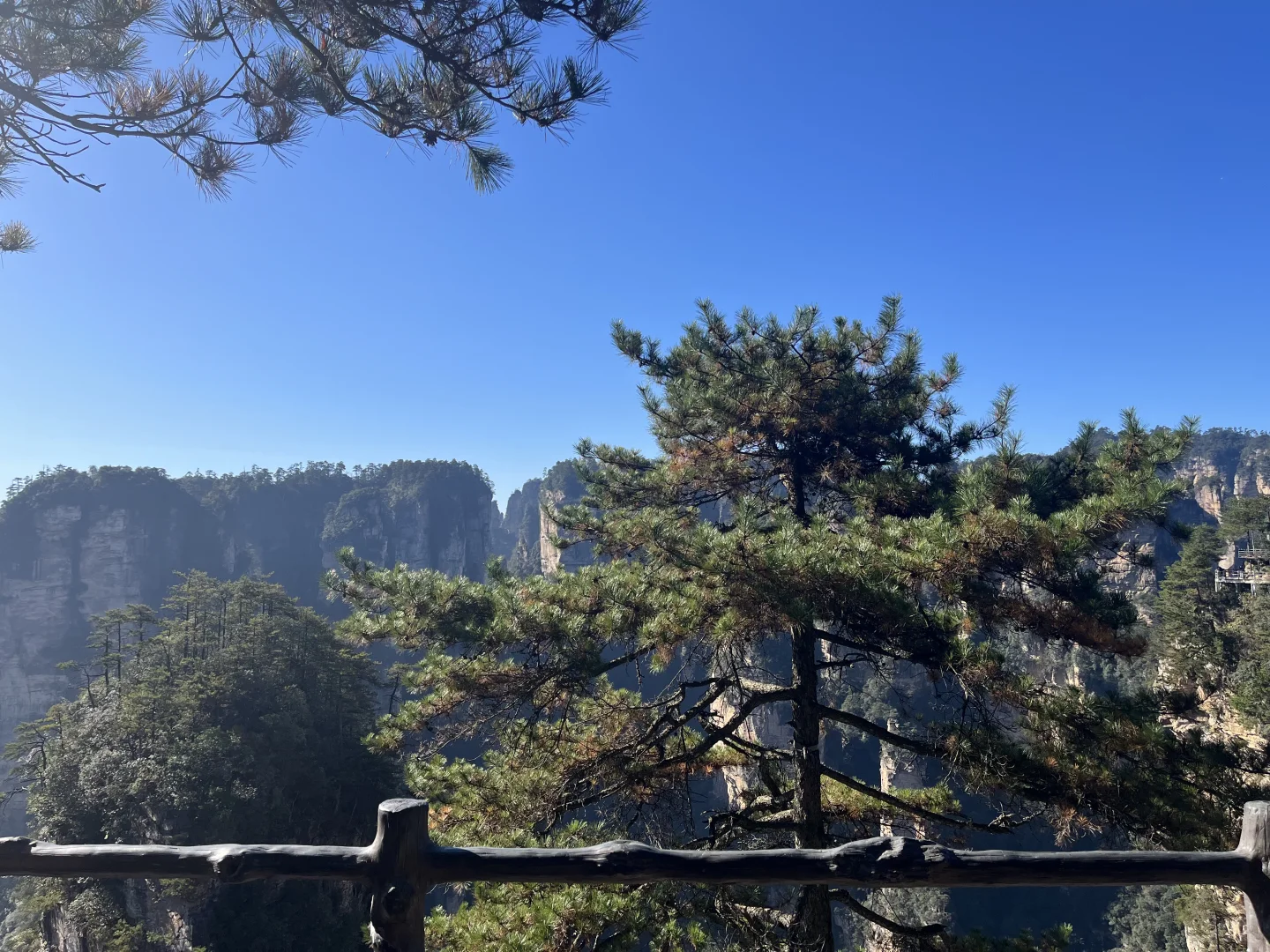 一人2天游玩张家界｜被🐒“抢劫”2次！