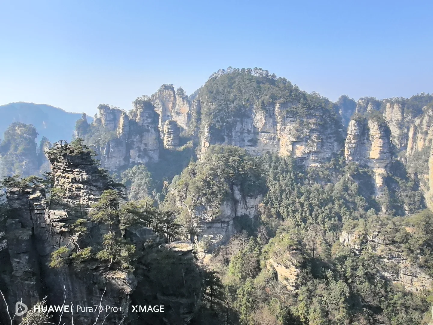 为什么张家界的西方游客比九寨沟多？