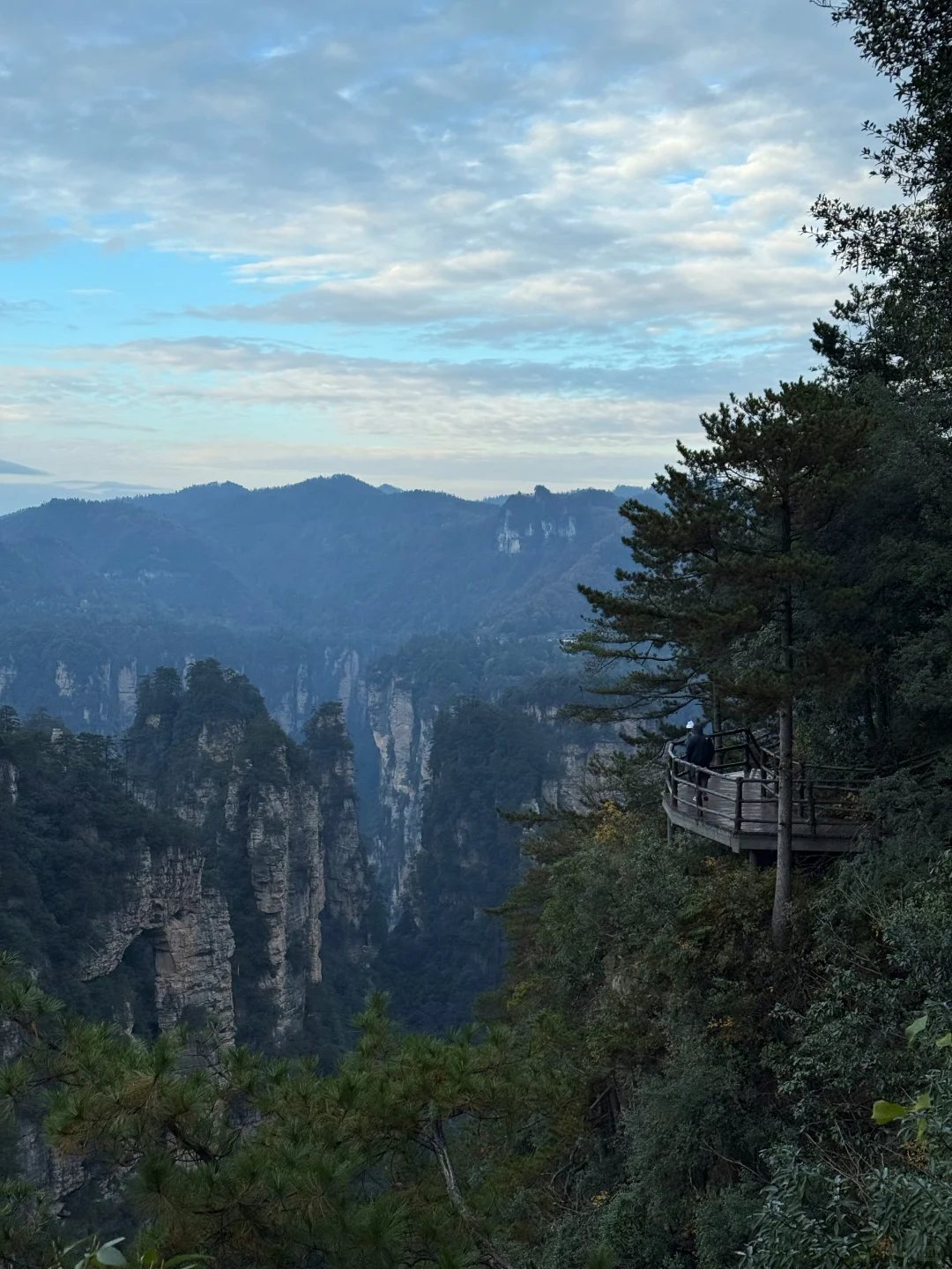11月18日张家界雾凇