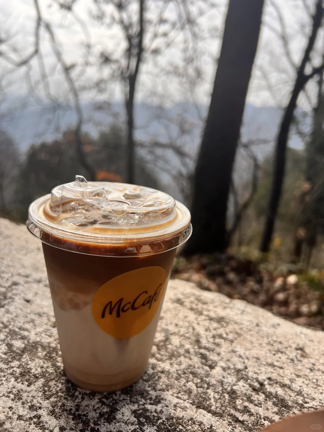 今天在张家界喝燕麦拿铁