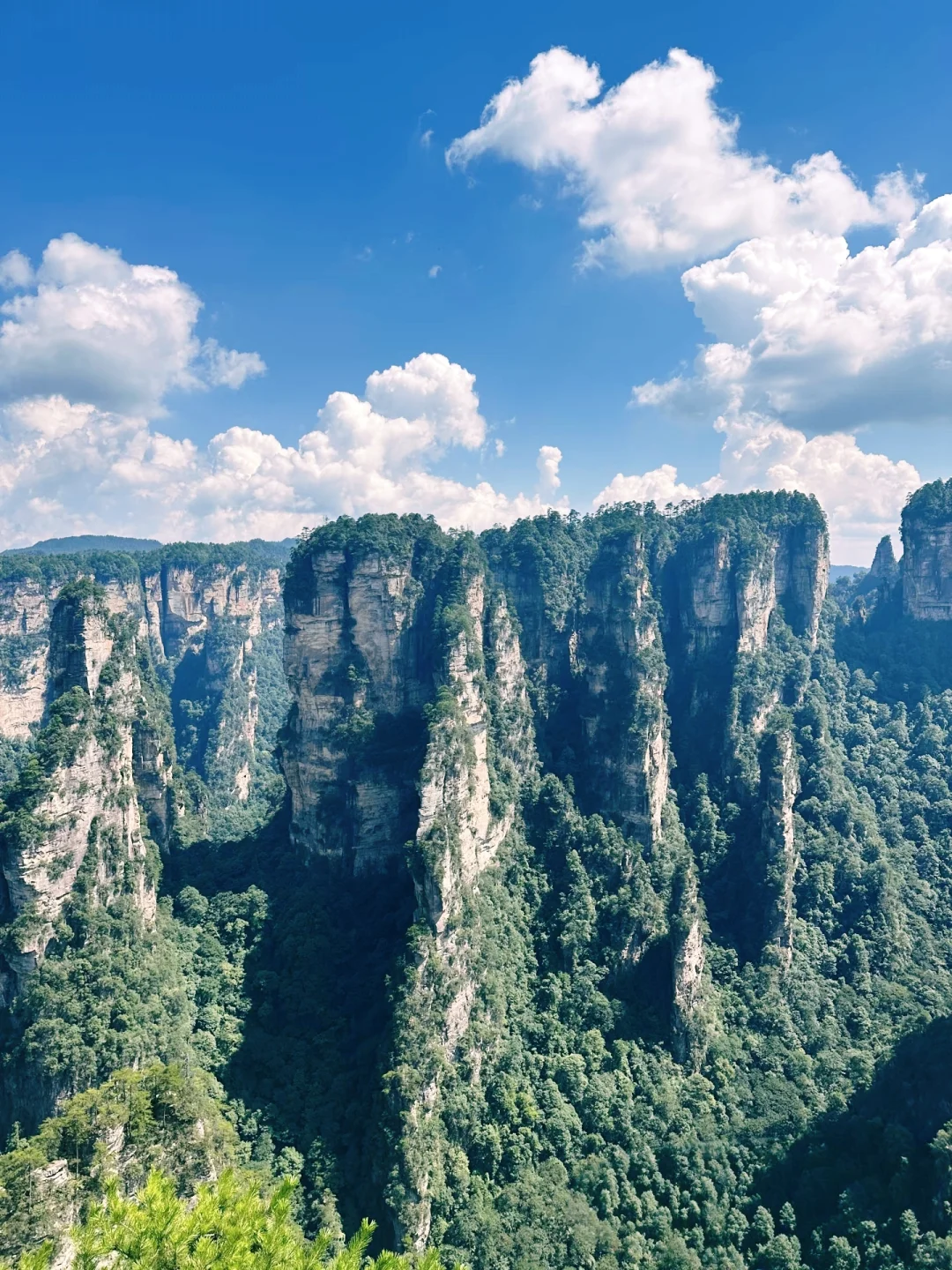 搞清楚这3️⃣个问题再去张家界森林公园❗