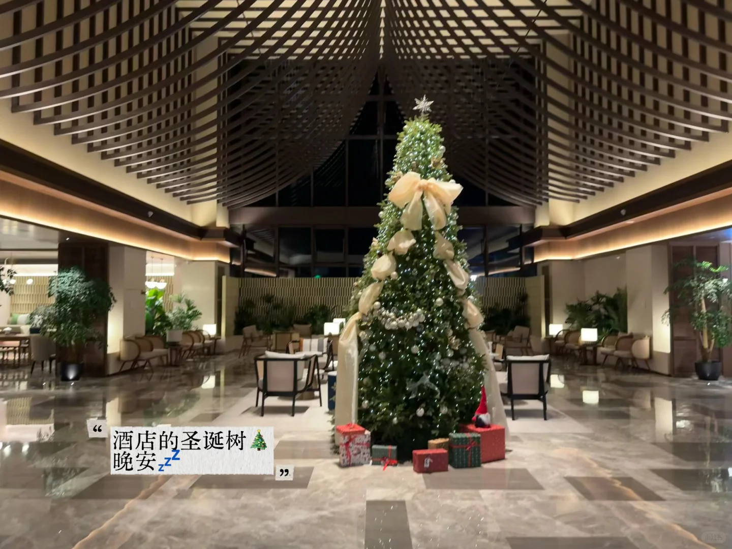 12.13｜张家界🚡看到雾淞版