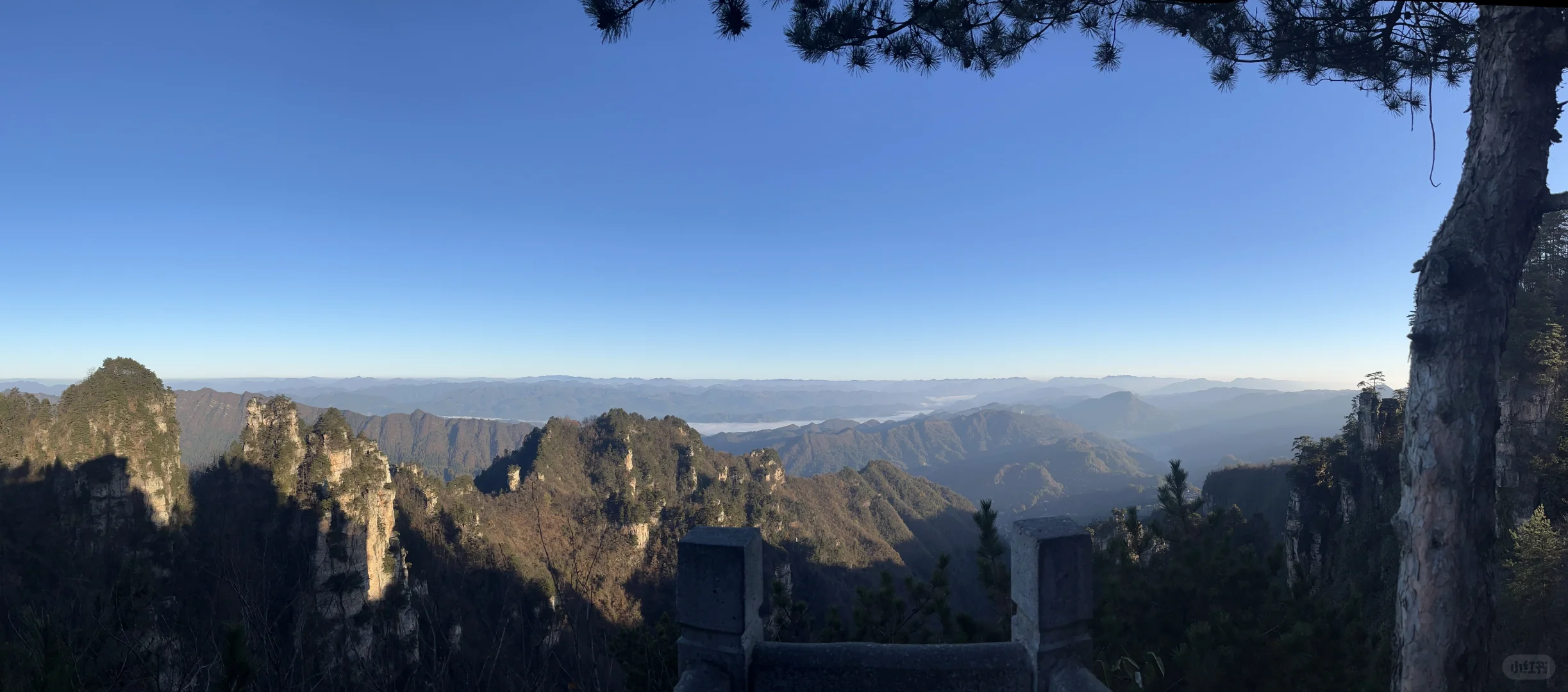 一人2天游玩张家界｜被🐒“抢劫”2次！