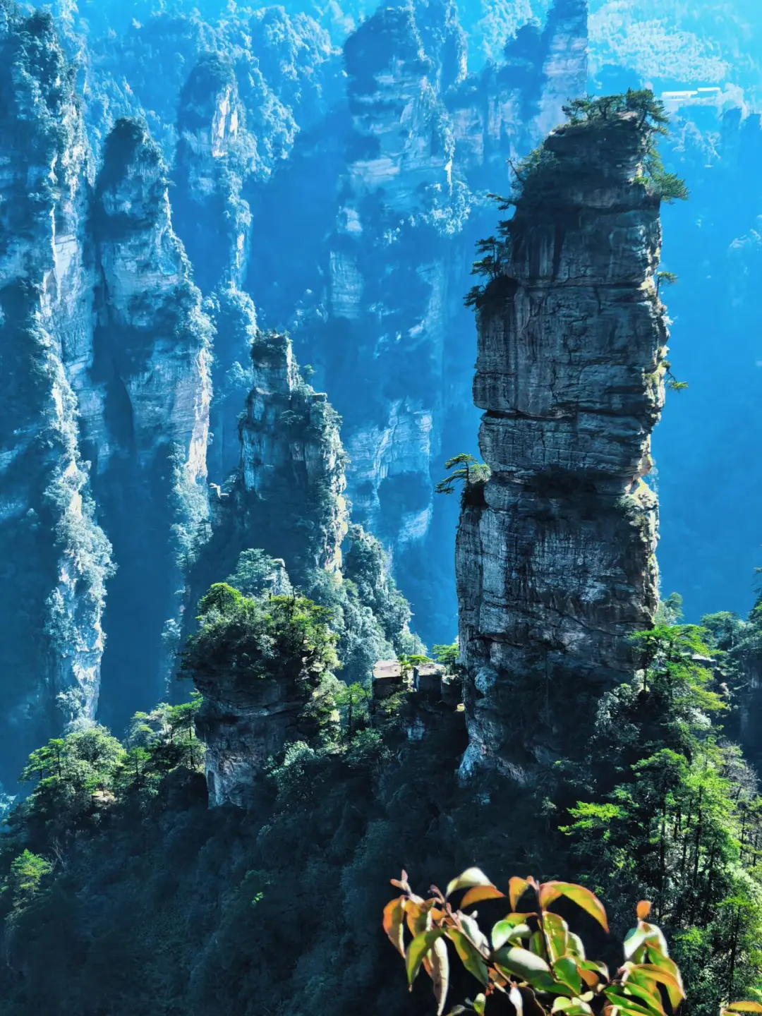 张家界森林公园南门-只看这一篇就够了