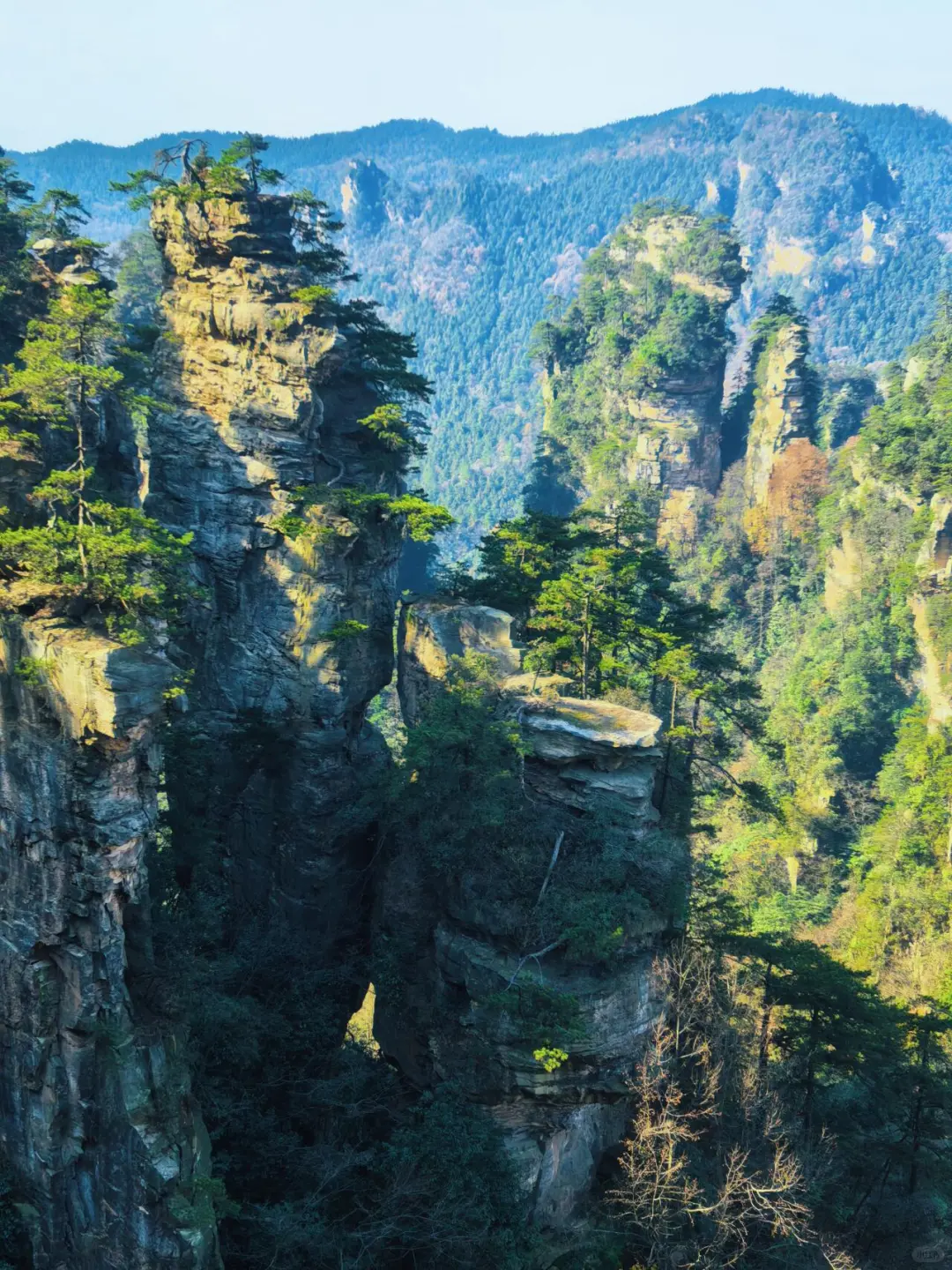 张家界森林公园南门-只看这一篇就够了