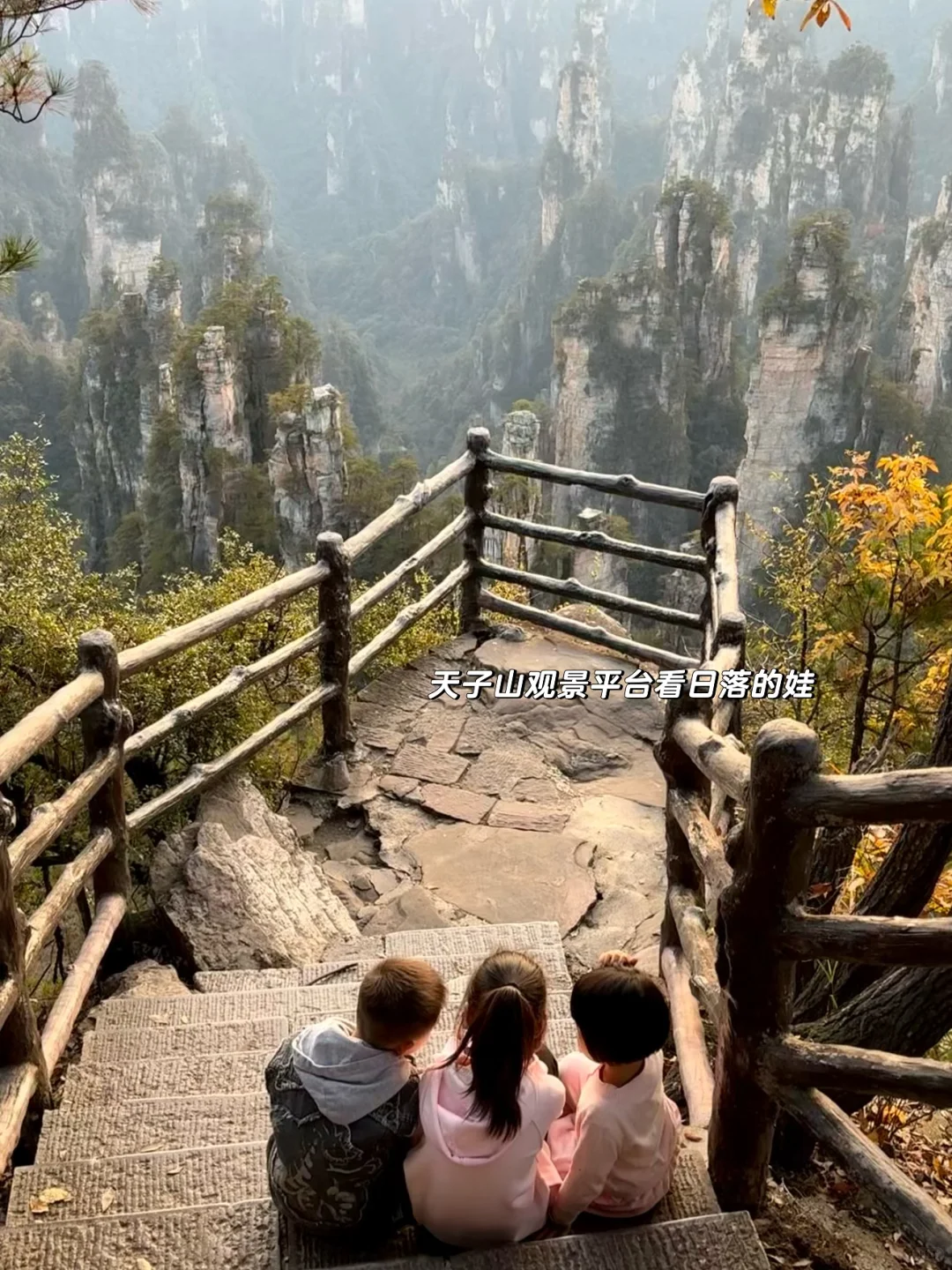 重庆出发周末2日游｜带娃徒步国家森林公园