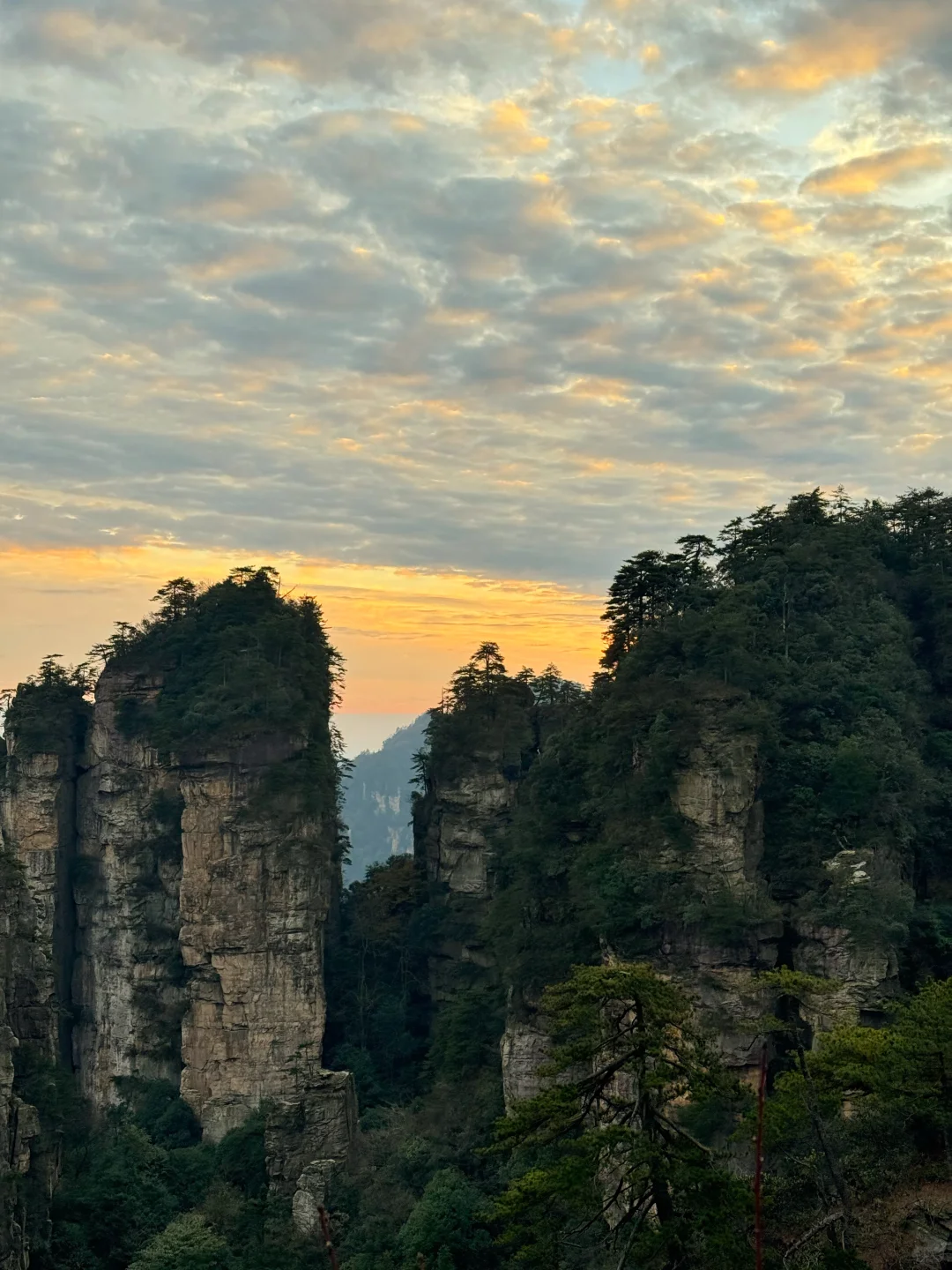 11月18日张家界雾凇