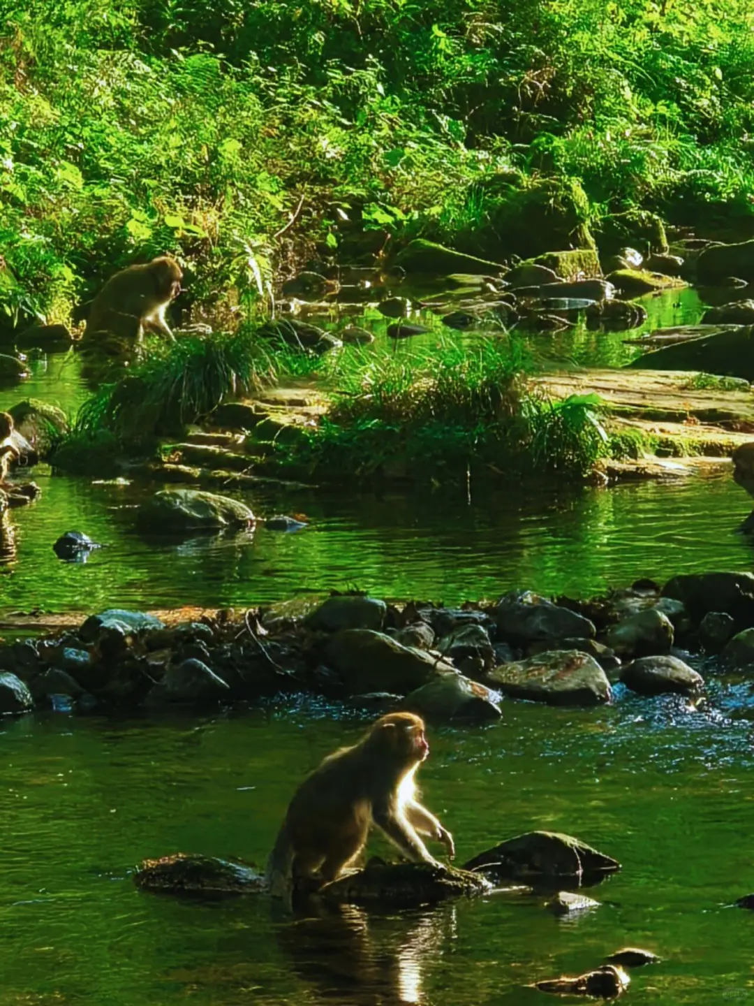 张家界森林公园南门-只看这一篇就够了